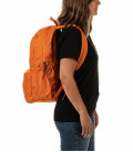 Day Tripper Backpack